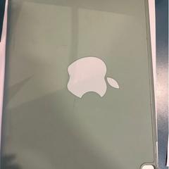 Ipad in green case, segons ha informat Room Mate Bruno mitjançant iLost