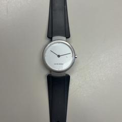Wristwatch, as reported by Burgers' Zoo using iLost