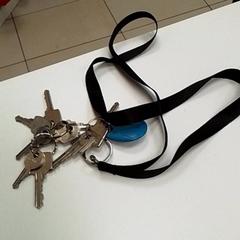 Chaveiro de clés, segundo informou ilévia usando iLost