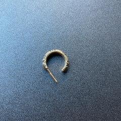 Gouden oorbel, como reportado ao iLost