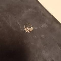 Ring, as reported by Mövenpick Hotel Amsterdam City Centre using iLost