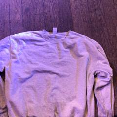 Blus Grijze sweater, rapporterat av De Heeren van Aemstel med iLost
