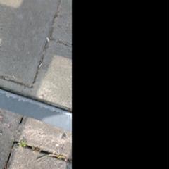 Sleutelbos, come riportato a iLost