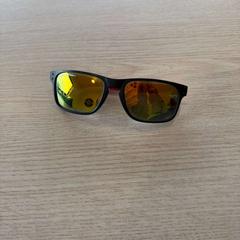 Solglasögon, rapporterat av Van Heugten Tours med iLost