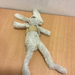 Knuffel, a été signalé par Qbuzz U-OV utilisant iLost