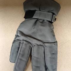 Luvas Grijs, segundo informou Qbuzz GD Groningen Peizerweg usando iLost