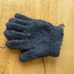 Kesztyű Blauw, amint azt Hortus az iLost segítségével jelentette.