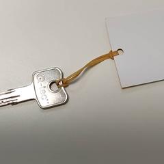 Kľúč, ako bolo nahlásené Regio Limburg - Leuven pomocou iLost