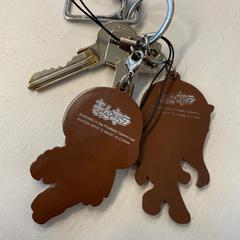 Sleutelbos, amint azt Dominator 2019 az iLost segítségével jelentette.