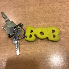 Sleutelbos، كما تم الإبلاغ عنه بواسطة Gemeente Amsterdam عبر iLost