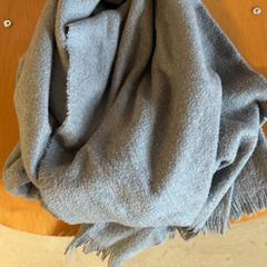 Xal, segons ha informat Fenix mitjançant iLost