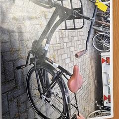 Női kerékpár, amint azt Gemeente Roermond az iLost segítségével jelentette.