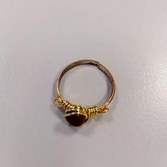 Ring, as reported by Vrije Universiteit Amsterdam using iLost