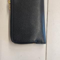 Pénztárca Pinto Ferreira, amint azt GVB az iLost segítségével jelentette.