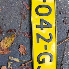 Kentekenplaat, som rapportert til iLost