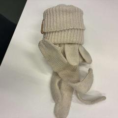 إكسسوارات الملابس creme، كما تم الإبلاغ عنه بواسطة Universiteitsbibliotheek Universiteitskwartier عبر iLost