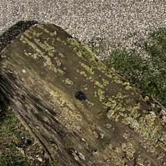 Key, jak zgłoszono do iLost