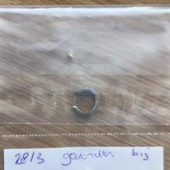 Oorringetje, a été signalé par Gemeente Alkmaar utilisant iLost