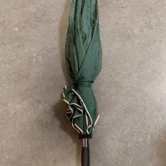 Paraply Groen, som rapportert av Regio Oost-Vlaanderen ved bruk av iLost