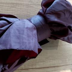 Paraguas, ha sido reportado por Regio Antwerpen - Brussel con iLost