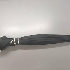 İLost kullanarak Centraal magazijn tarafından bildirildiği gibi Şemsiye - Zwart