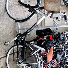 Dámské kolo batavus, jak nahlášeno Stadswerk072 pomocí iLost