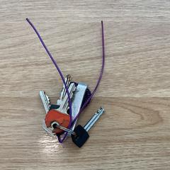 Sleutelbos, zoals gemeld door Gemeente Alkmaar met iLost