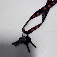 Key cord sleutelbos, as reported by Hermes Eindhoven using iLost