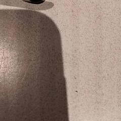 Briller, som rapportert av De Efteling ved bruk av iLost