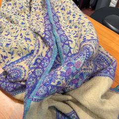 Sjaal, zoals gemeld door Arriva Achterhoek-Rivierenland met iLost