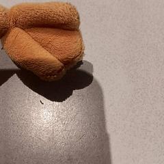 Peluche, ha sido reportado por De Efteling con iLost