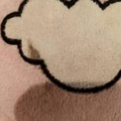 장난감, iLost를 사용하여 De Efteling에 보고됨