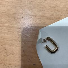 Náušnice, jak nahlášeno Gemeente Gooise Meren pomocí iLost