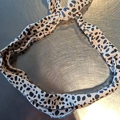 فرقة الشعر Kinderen Roze Stippen، كما تم الإبلاغ عنه بواسطة Burgers' Zoo عبر iLost