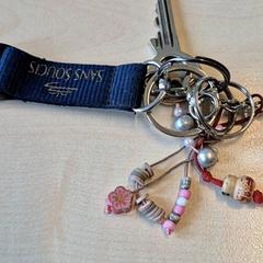 Chiavi, come riportato da Gemeente Wijk bij Duurstede utilizzando iLost