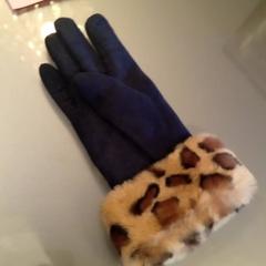 Glove, as reported by Van der Valk Hotel Sneek using iLost