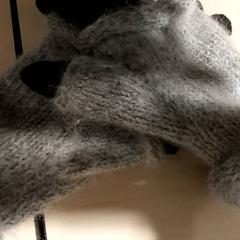 Kleidung - handschoenen- grijs/zwart, gemeldet von Regio Antwerpen - Brussel über iLost