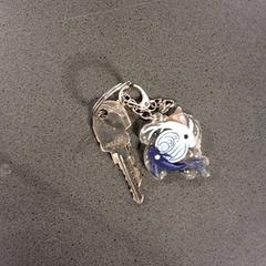 Klíče, jak nahlášeno Breng Nijmegen pomocí iLost