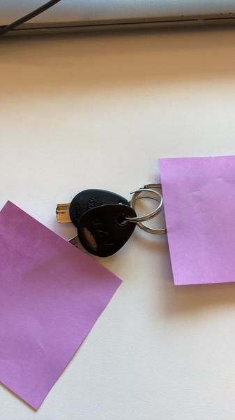 Keys 2 sleutels met hanger