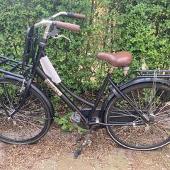 Zwarte Popal fiets, segundo informou a iLost