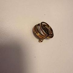 指輪 がiLostで Ramada by Wyndham Amsterdam Airport Schiphol によって報告されました