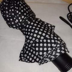 Paraplu がiLostに報告されました