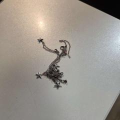 Halsband, rapporterat av AFAS Live med iLost