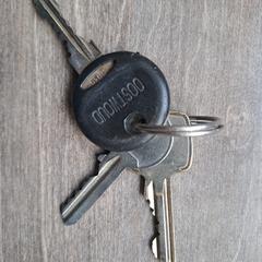 Sleutelbos met 3 sleutels, segons s'ha informat a iLost