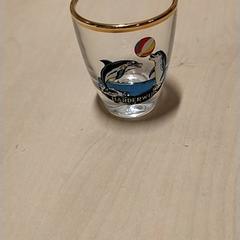 Glas Shotglas, harderwijk, zoals gemeld door IKEA Zwolle met iLost