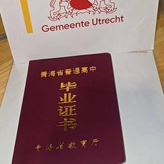 Chineze diploma, come riportato da Gemeente Utrecht utilizzando iLost