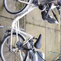 Bici da donna Batavus, come riportato da Stadswerk072 utilizzando iLost