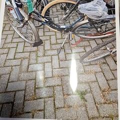 Bicicleta de senhora, como reportado por Gemeente Roermond utilizando o iLost