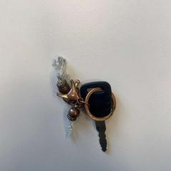 Bizikletaren giltza, gisa salatu by Stad Peer iLost erabiliz