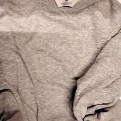 Suéter Grijs, ha sido reportado por Gemeente Puurs-Sint-Amands con iLost